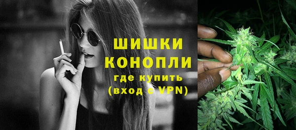 соль ск Липки