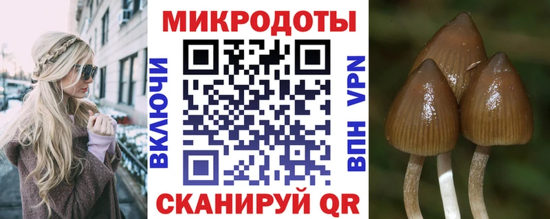 Псилоцибиновые грибы Cubensis Бор