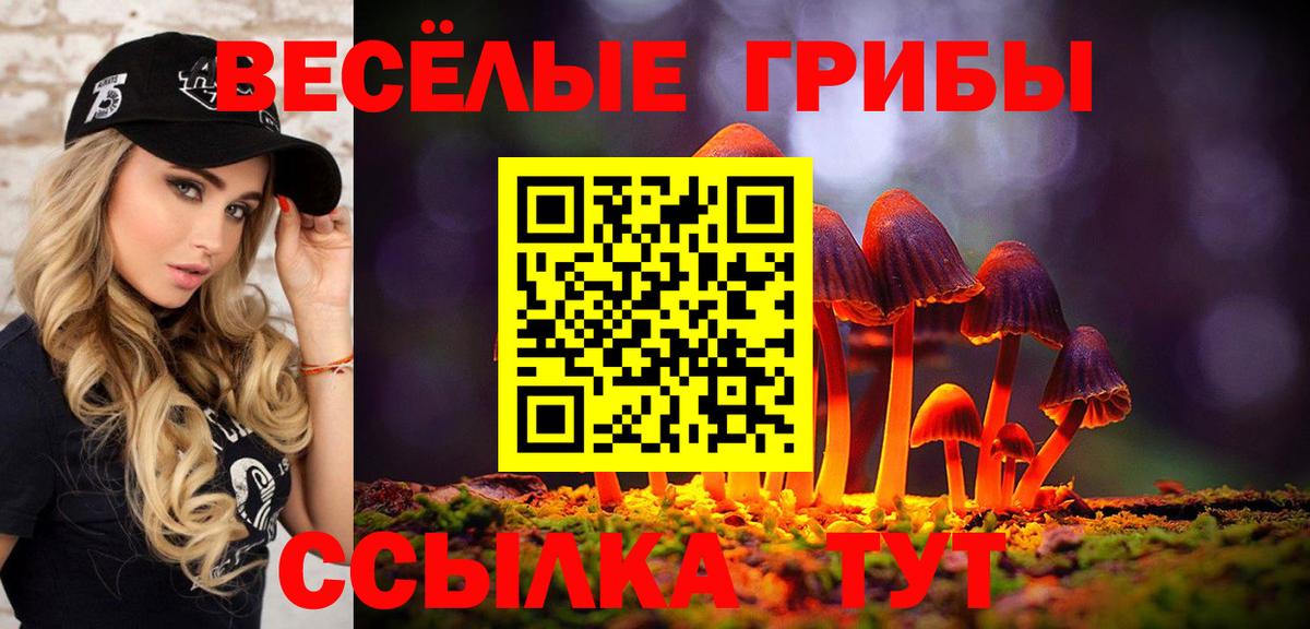 Псилоцибиновые грибы MAGIC MUSHROOMS  наркотики  Бор  Галлюциногенные грибы мицелий 