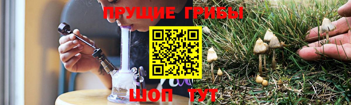 купить наркотики цена  Псилоцибиновые грибы мухоморы  Вход с VPN  Бор 