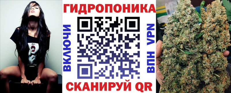 Бошки Шишки гибрид  Бор 