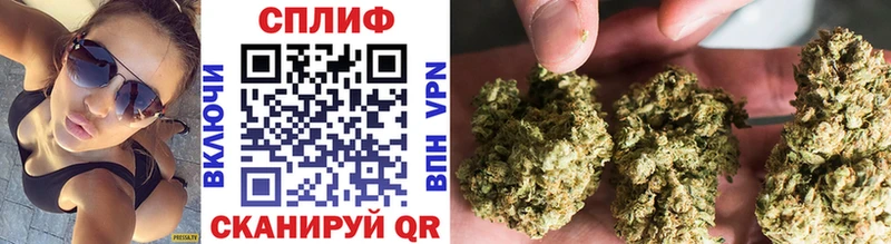 Каннабис OG Kush Бор